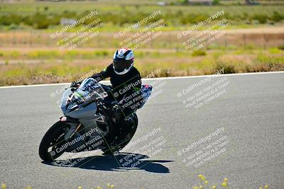 media/May-10-2024-2WTD (Fri) [[c88d7990af]]/Group C/Session 2-The Bowl/